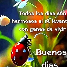 Foto de Olga Lidia Hechavarria
