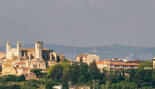 L'arboç del Penedes