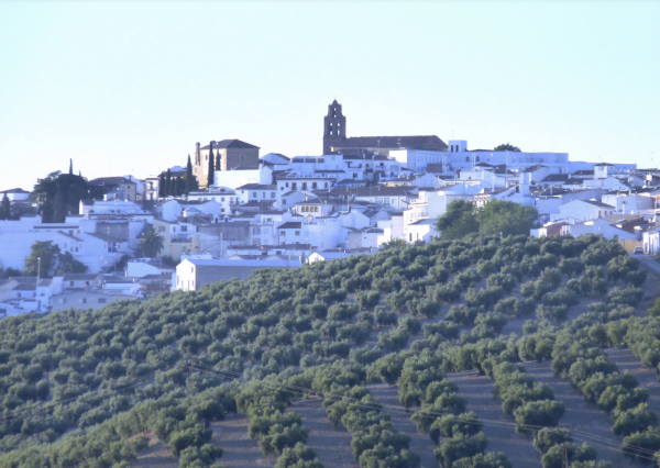 Arjona