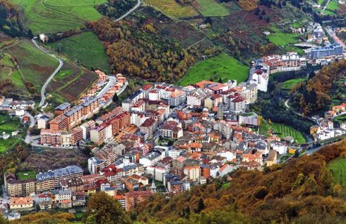 Cangas del Narcea