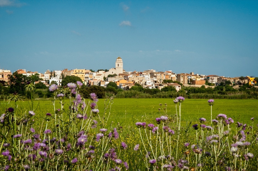 Martorell