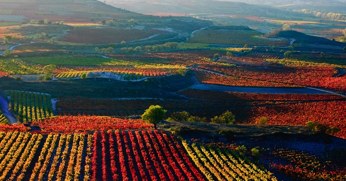 La Rioja