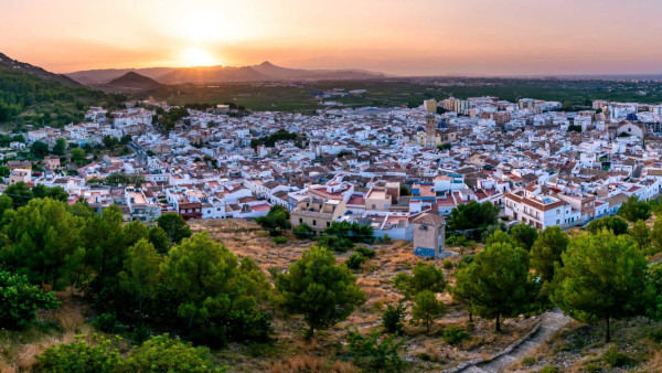 Oliva